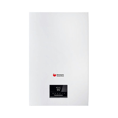 Caldaia Themafast Condens 25 Metano Saunier Duval 0010025122